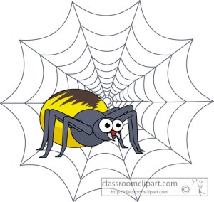 Spider on a web