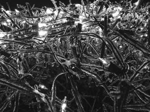 14600974_10210085495567574_3268930458795490311_n